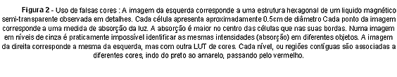 Texto explicativo da figura 2