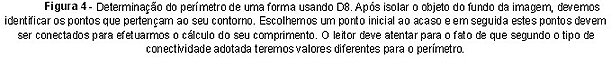 texto explicativo da figura 4